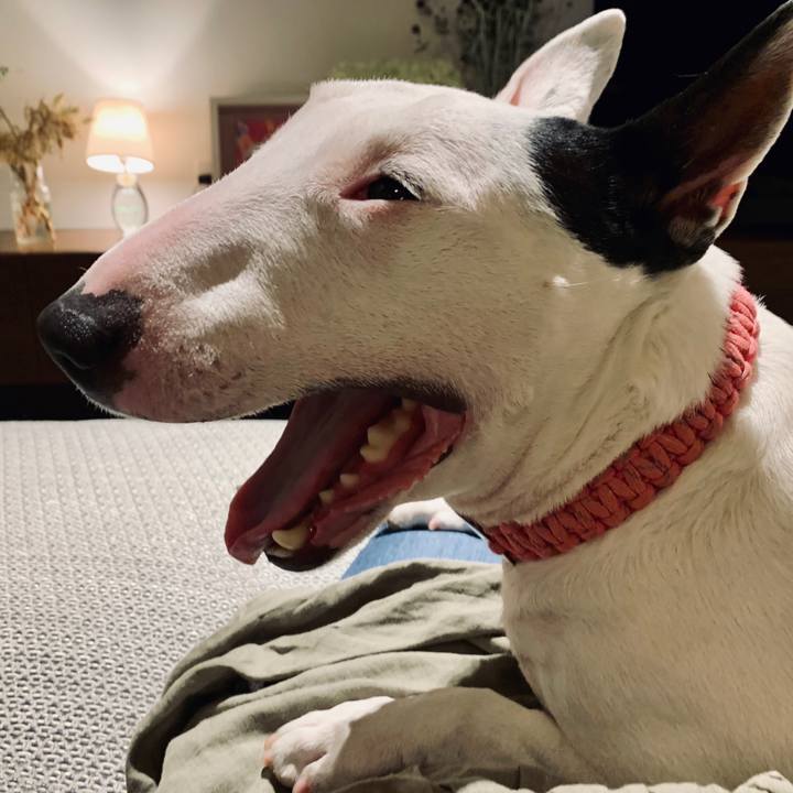 590b80be 77a8 45fd 8cc9 07c06f18aa0c 1593069244077