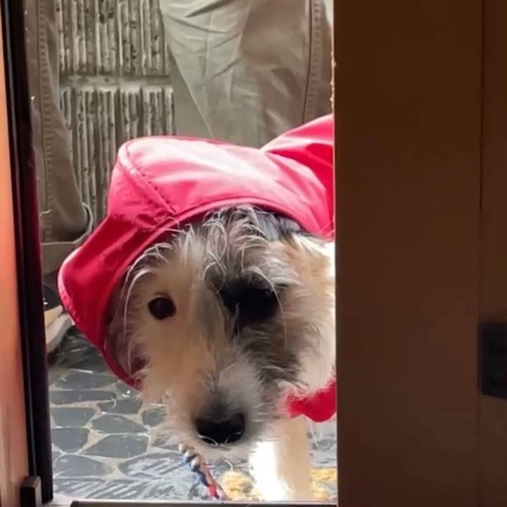 590bb921 93e4 4fa5 b927 dbb3c0c01a5e 1649982944114