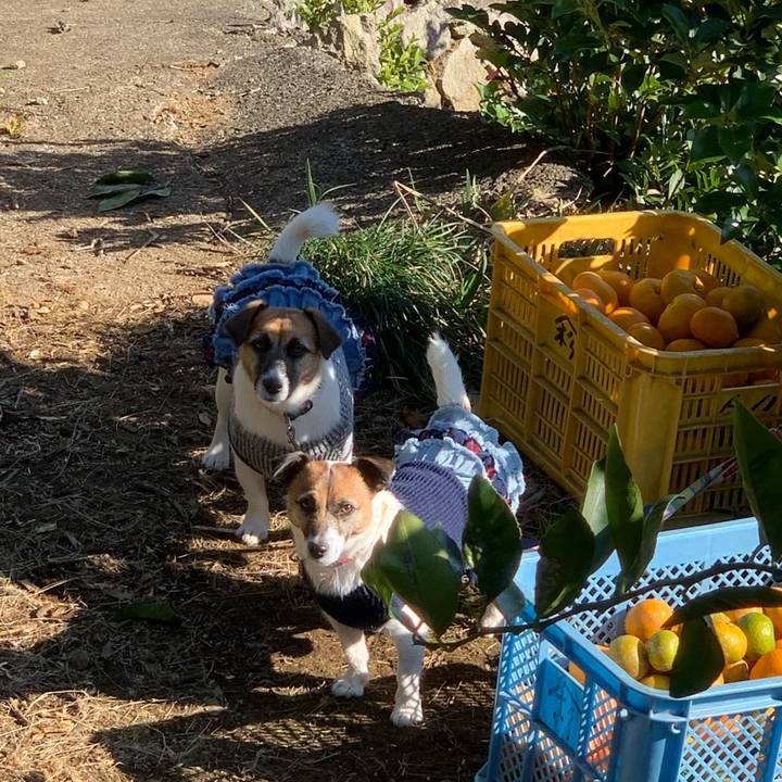 590bde0b d297 4228 92da 762df8be5667 1576309669517