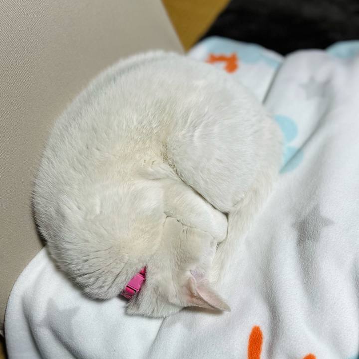 590bf971 1afd 4d84 83ce bb40459187a2 1767607447254