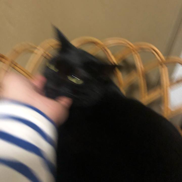 590c02d9 1f6b 43dc b4cc e419a3eaf795 1666682444391