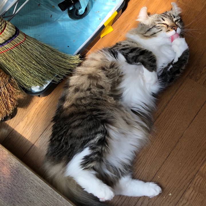 590c5e75 3304 4655 8331 e96b246d5d6b 1529910460718