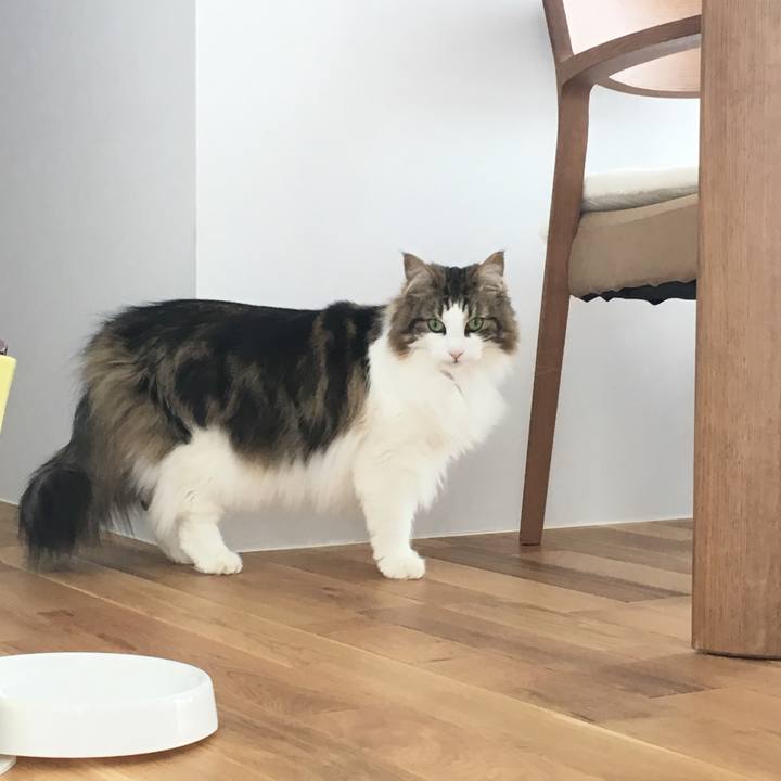 590c8ff6 86ad 4c68 9dd6 b14c5f6c6953 1526962146217