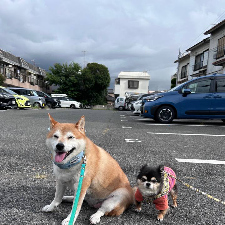 590ca983 6808 4b3a b322 c4868137470a 1724916488257