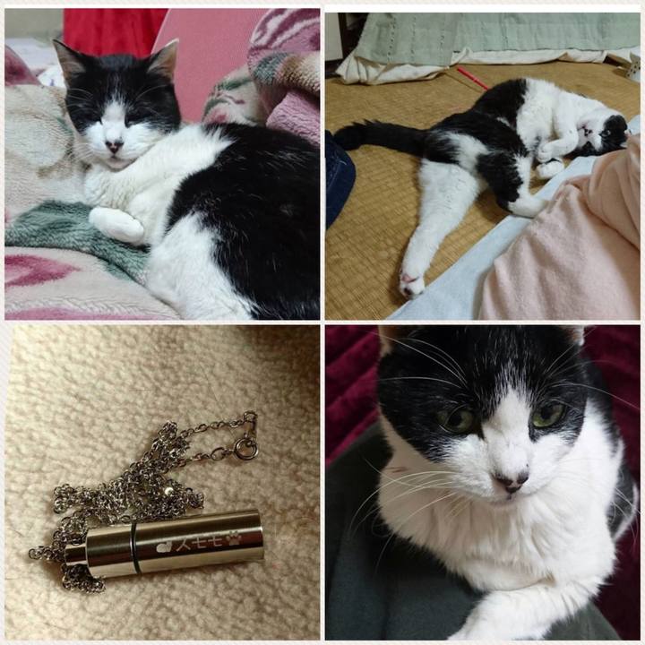 590cdf18 8da1 40e2 849f 045a356edc07 1518791252795