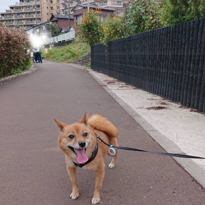 590ceb5d 3de6 4eb7 ae18 21e1c9f9ee4c 1608285827803