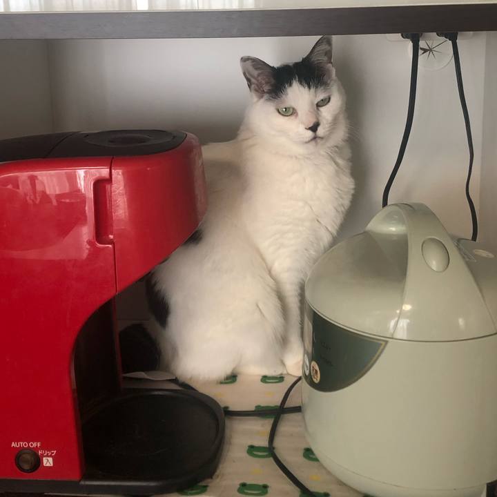 590d1fcc 249e 4a2e bf57 6233d8ecdd3a 1587943968859