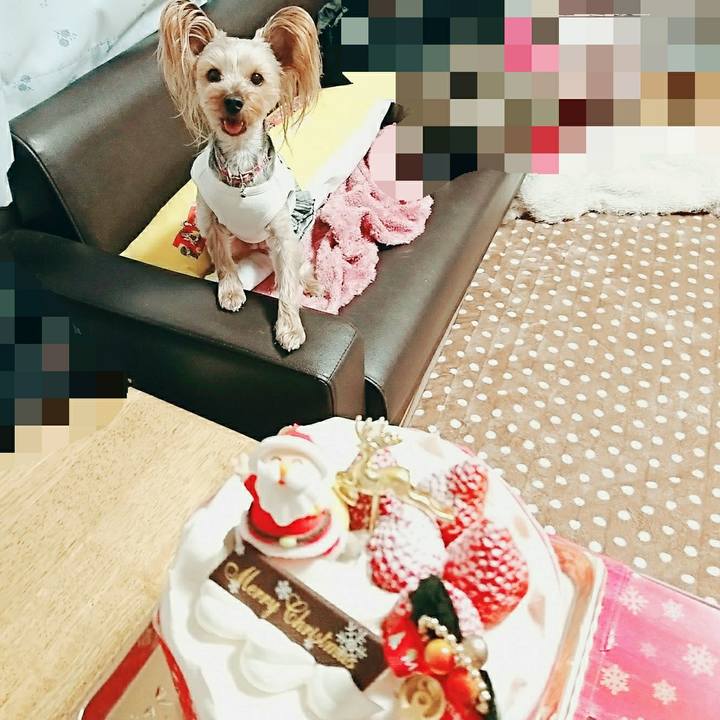 590d43f5 775b 4d45 8395 ae12ad67a7e0 1514202799043