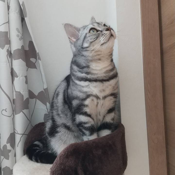 590d7efc 9ae6 439f a44f 3c094081c462 1620206988698