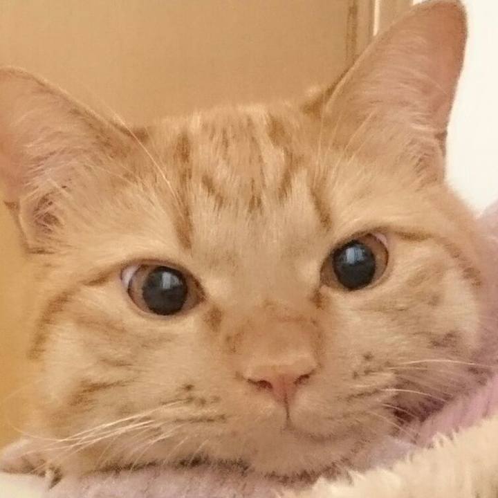 590d8669 2044 4319 bcb3 0fccc7be3029 1564831209353