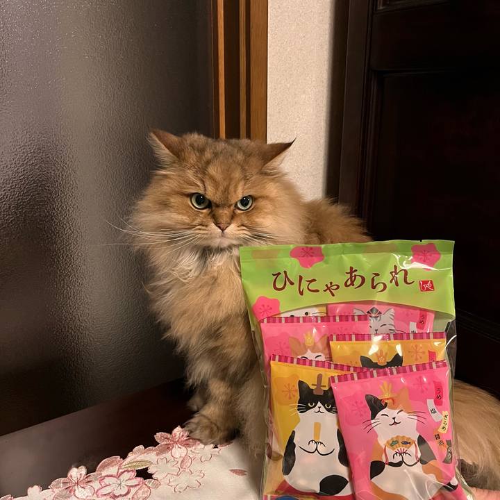 590d88ab 48e9 4ada 842c 3211c9299481 1677839636928