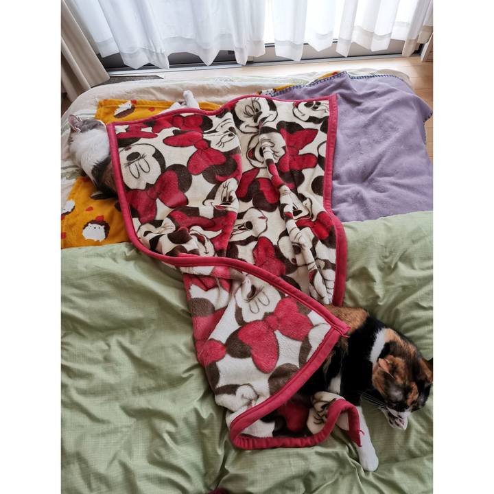 590d9a8a dab0 4516 809e 0fdaf5b86039 1680234592158