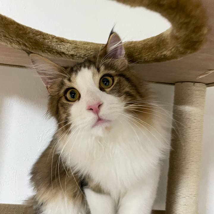 590dbbc6 ac3a 47bb aa18 0d3ed1ee9f64 1639432934295