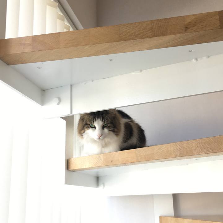 590dc8e1 bf2a 4253 bd47 deb8acfe1ab1 1578880285922