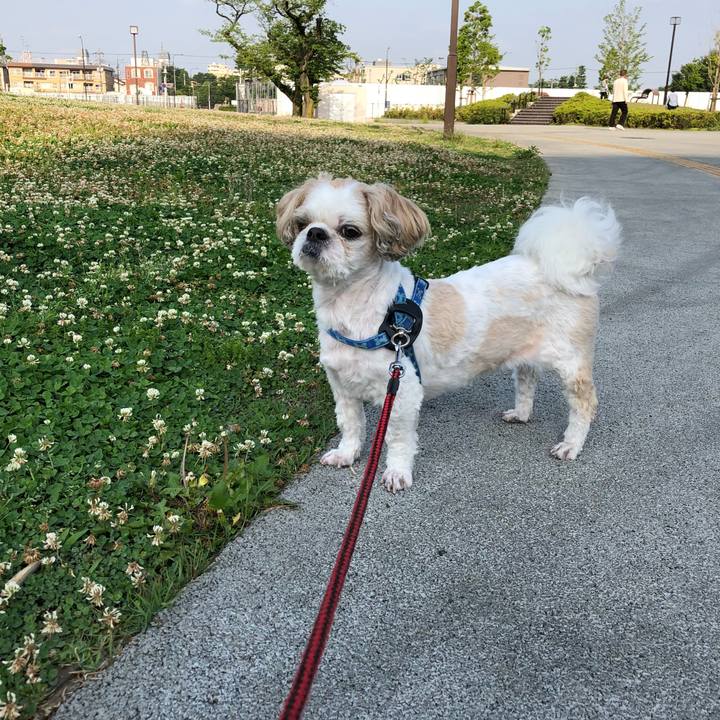 590e0bf3 c57a 4f3b 827d f184e2f72df5 1527630784695