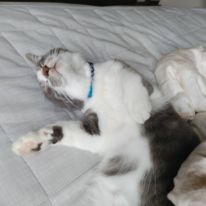 590e19bf cc58 4787 b77d c006d472df26 1595369604182