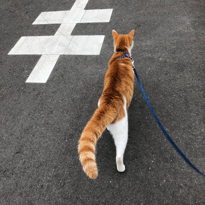 590e51fb a0e6 435f 9f31 d2584a130dfe 1542873476792