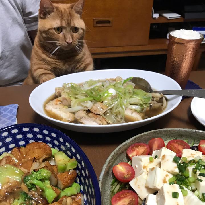 590e6ae4 89a0 4526 935c 160a4320d15f 1562584633993