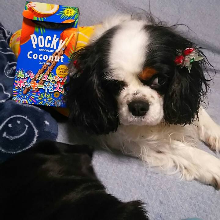 590e7afa 1cac 4b96 baf0 01ff8ce3a551 1548676572209