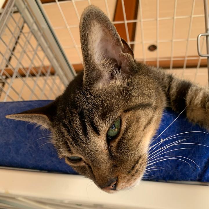 590e9955 a8d3 4b64 8870 99bd8a80e954 1596157823816