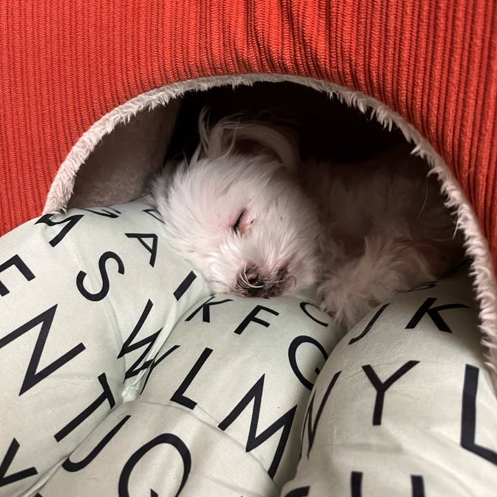 590eef3b 10de 4651 be29 9eca94379ceb 1761977870840