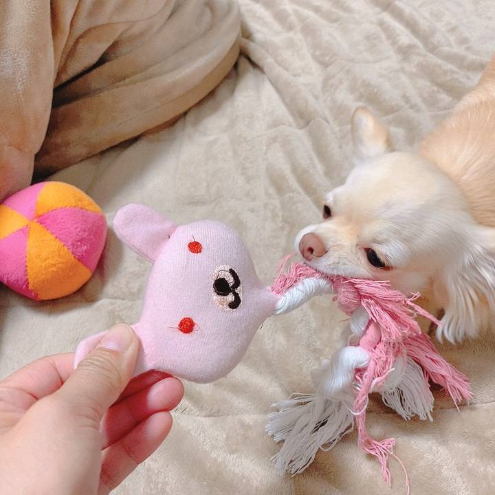 590efd6d 3958 4487 8376 47da28712a68 1619504158205