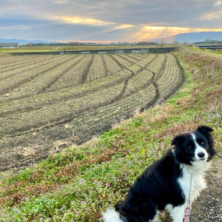 590f18dd 8dbf 4045 957b 6dfe7be2398f 1606866506045