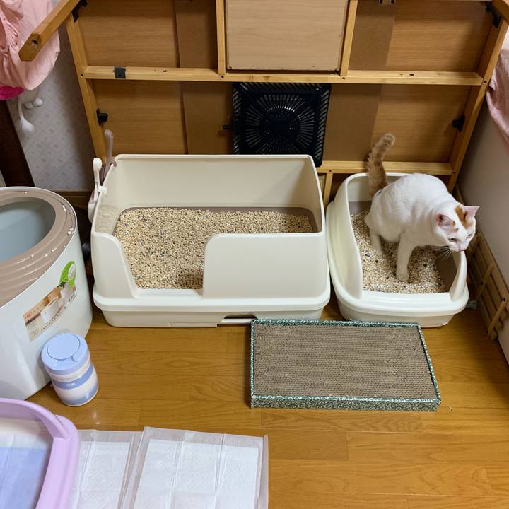 590f24b9 fe74 40b2 9869 8fd680f00a08 1568468132981