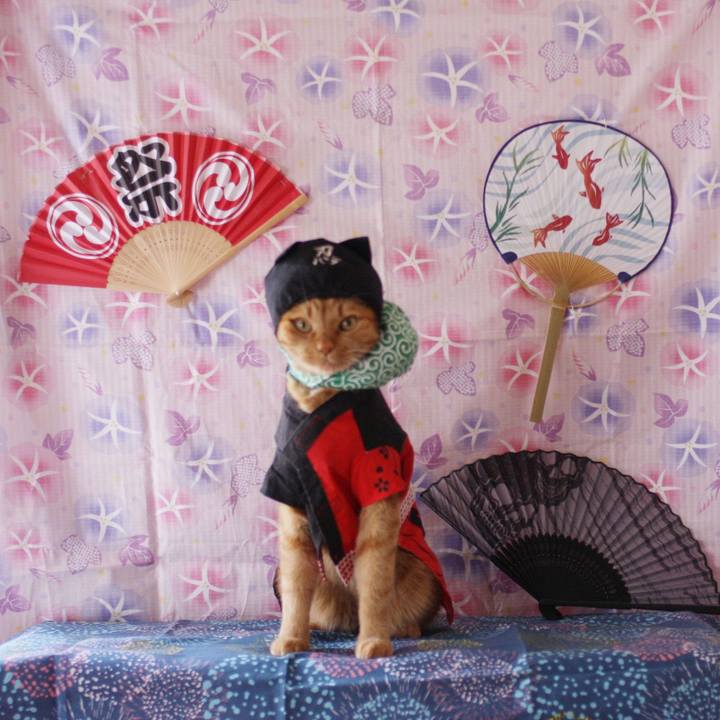 590f2f22 e82e 4803 940f 3b5b1c932581 1753347731945