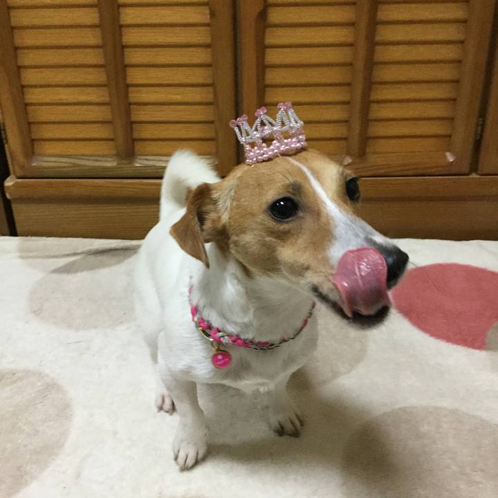 590f39d3 5e5d 448c a137 03329b3be07e 1512275830537