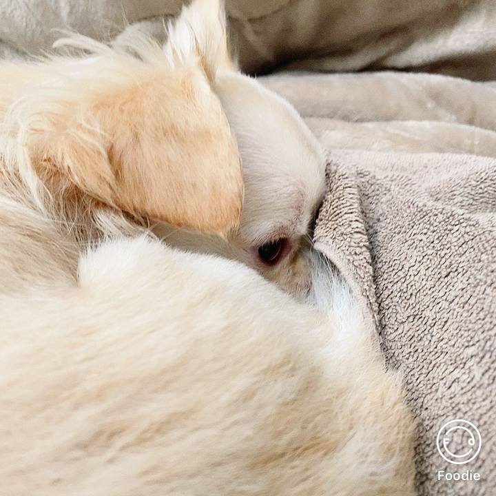 590f6f1f 8be2 4cb8 aeca 1c419daf7145 1608281245895