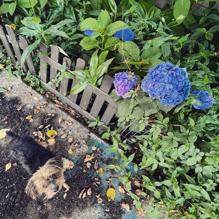 590f7aaf fbaf 4bca a6dc 5957a3f818d1 1655771102979