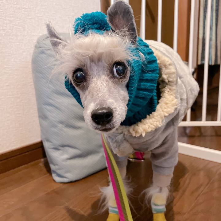 590f8266 536a 4224 836a 59f5092d0f21 1765534485050