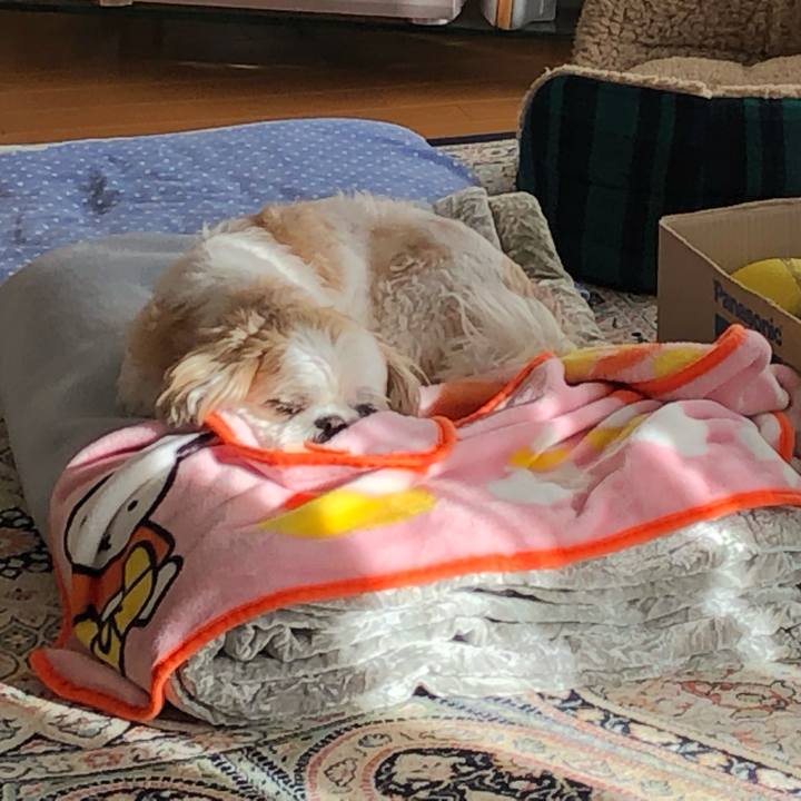 590f829f 16f8 49bb b8eb 532b126f1639 1546984080940