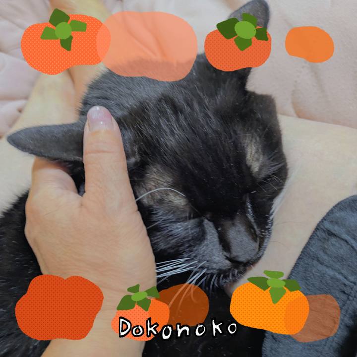 590fa15a a8cb 4baf 8c3a daa45d5ff5f4 1763256156149