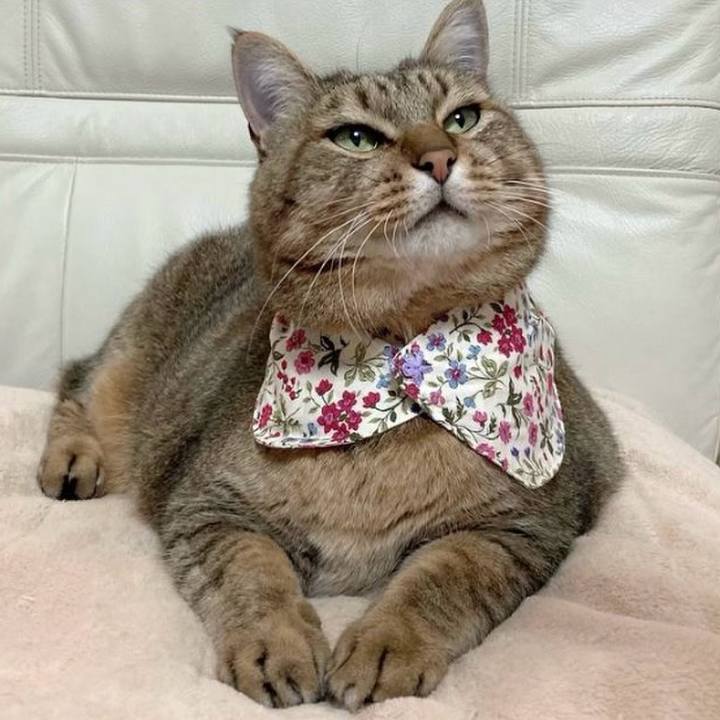 590fc741 1cf9 406f bcf4 38e7c258baf6 1768189340197