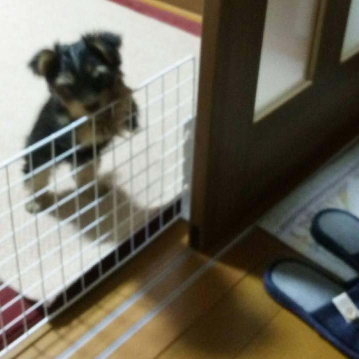 590fca39 6ec2 4a55 9a95 743e7c3292a7 1528636232674