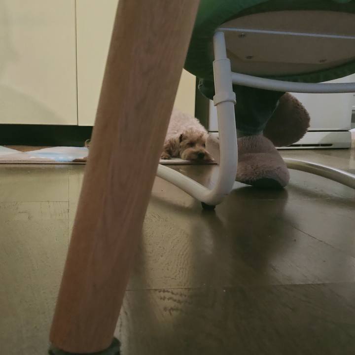 590fd563 9431 4968 b562 6ac13a61c9a2 1612994339736