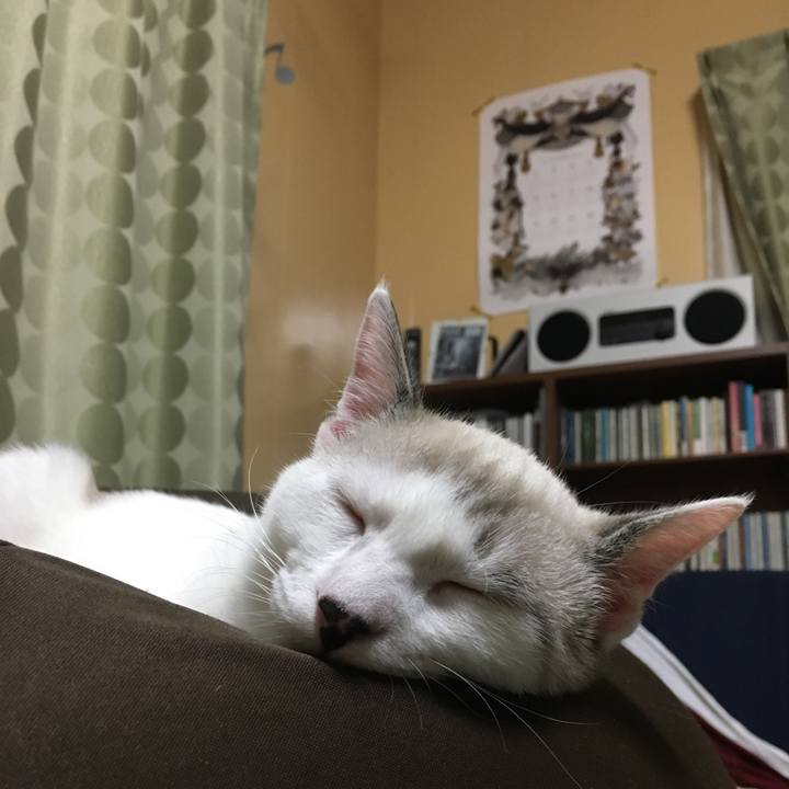 590ff26a ebd6 4ef0 96ca 7a3518468217 1538742950190