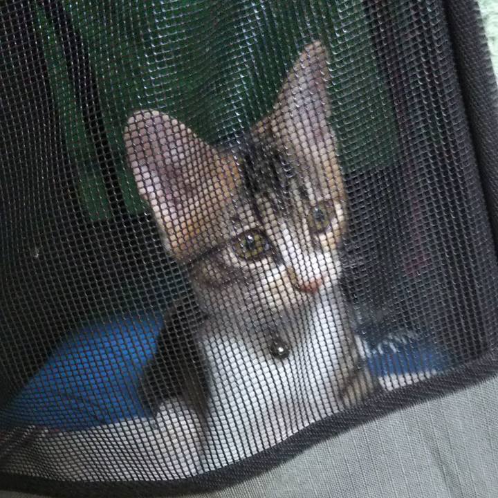 590ff4ef 4c84 493e a91b 8850b06b5e48 1628283136788