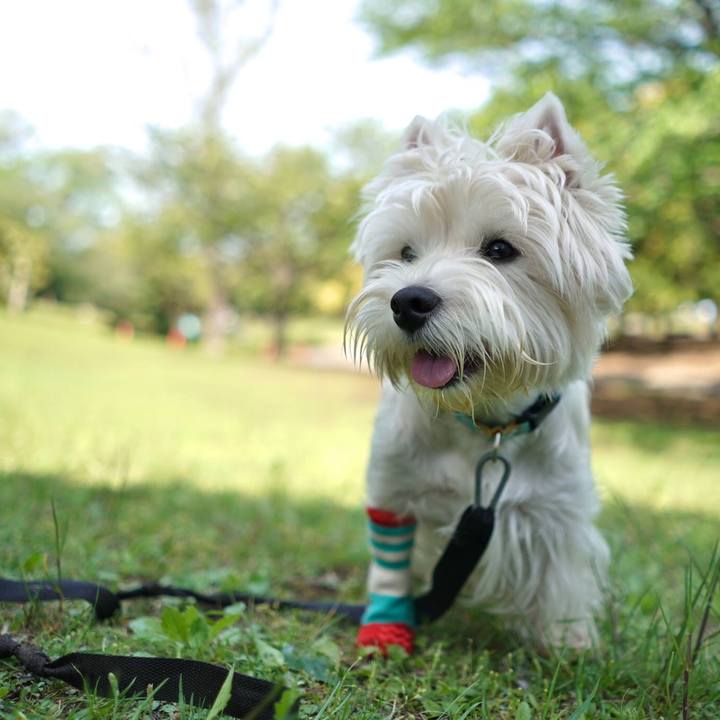 59103fb8 7e56 4758 b888 1395b705d049 1525062030099