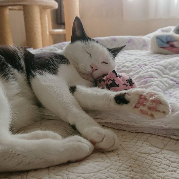 5910522e c3db 4b6e ba2d 6bb9b27fd1bf 1549439594721