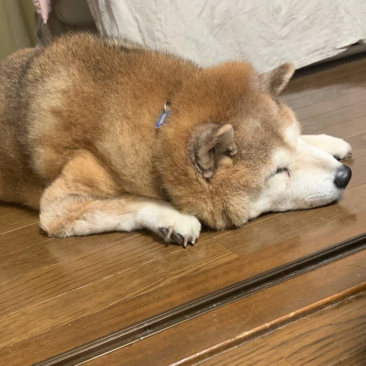 5910597f 6e7b 4706 bcae d1f8ff351ca5 1632139763507