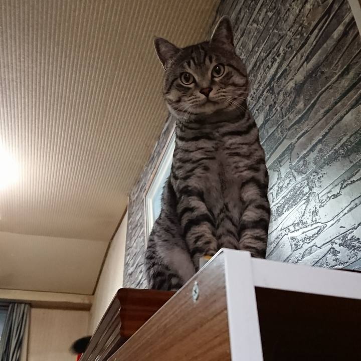 59106e4c 202e 4201 a740 0f686c169967 1512567186346