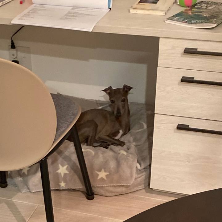 59107de7 53eb 440f bbec 01612aad3fbc 1757815695424