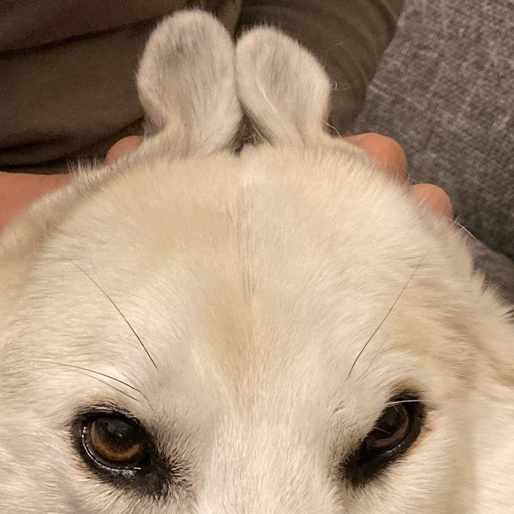 5910a70c 7b64 4db8 a1a0 fbc6058f7a56 1617272825273