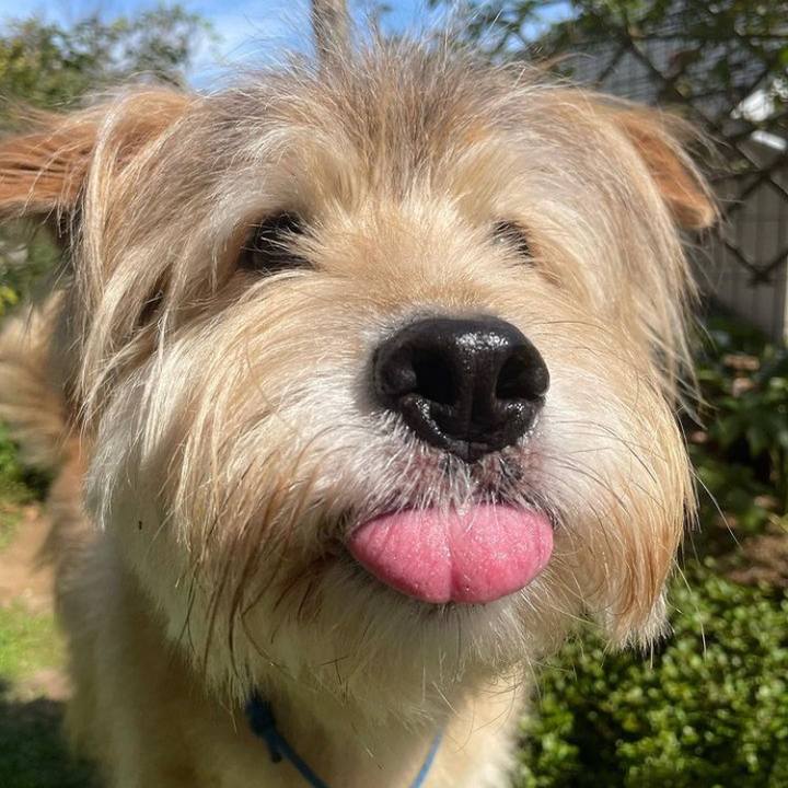 5910d569 11d2 479b bf63 ab0e36343292 1694655520219