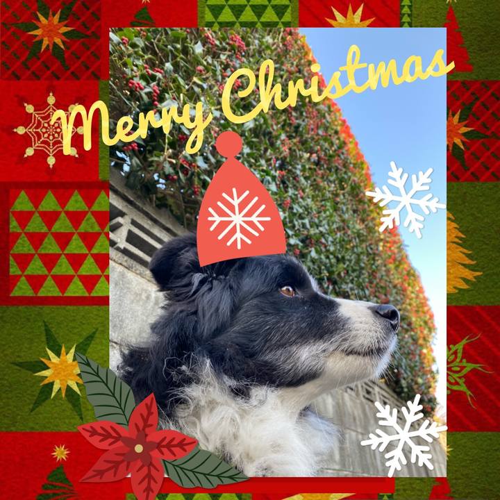 591103c9 ed33 4d98 a7fa 0eb0cdef1514 1640307810863