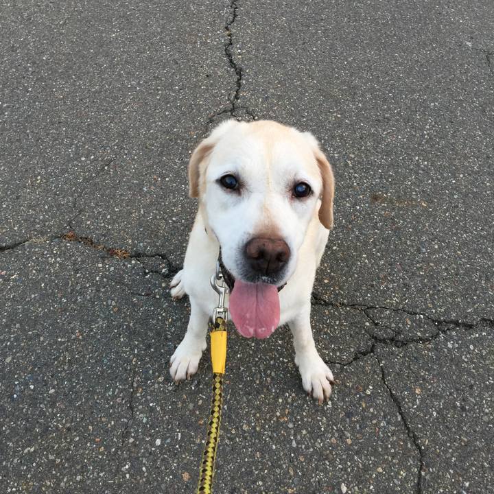 59113579 b1cd 4969 903a a74f02c92d12 1535191011938