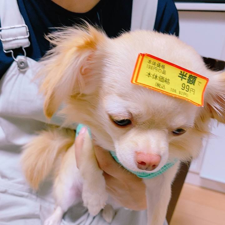 59118229 43f5 4364 a0c0 a5d248a3ec98 1633956154485